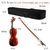 Imagem do Violino Acústico Cor Natural Estudante 4/4 - 3/4 - 1/2 COMPLETO