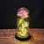 Flor de Folha de Ouro 24K Encantada com LED Galaxy Rose Eterno 24K com Luzes de Cordas - Mimi Marcas Distribuidora e Importadora 