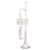 Trompete cor prata LMR-1141G Lamounier - comprar online