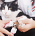 Kit Alicate e Lixa Aparador de Unhas para Pet Cães e Gatos (HTNC011L) na internet