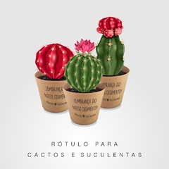 Rótulo cactos e suculentas - comprar online