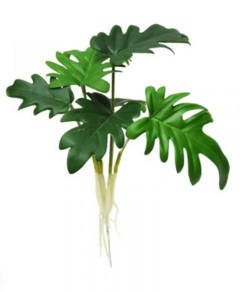 Planta 6 hojas 28cm