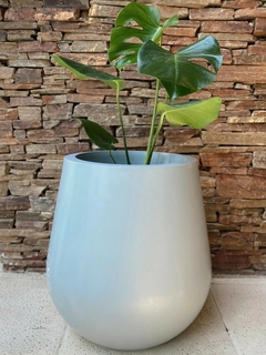 Maceta copa 40cm - Magnolias
