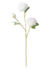 Ramo 3 rosas blancas 65cm - comprar online