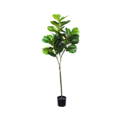 Planta artificial Pandurata - 150cm - comprar online