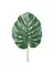 Rama monstera 70 cm - tienda online