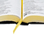 Bíblia Sagrada YouVersion - Com Adesivos - loja online
