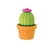 Borracha Cactus - Tilibra na internet