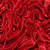 Terciopelo - Rojo - comprar online