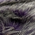 Piel Francesa Avestruz- Violeta y Blanco en internet