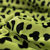 Micropeluche Estampado - Dalmata Verde Fluo y Negro en internet