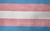 Bandera Orgullo Transgénero - comprar online
