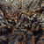 Micropeluche Estampado - Leopardo bicolor en internet