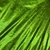 Lycra Foil - Verde Manzana en internet