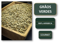 Café Grãos Verdes - Cru Para Torra - Gourmet 100% Arábica Tipo Exportação na internet