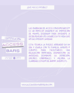 Certificación Internacional de Las Barras de Access Consciousness en internet