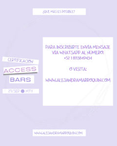 Certificación Internacional de Las Barras de Access Consciousness - Alejandra Marroquín