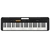 Teclado musical Casio CT-S100