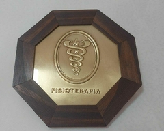 Quadro Decorativo Fisioterapia.