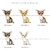 Caderneta do Pet - 005 Chihuahua - comprar online
