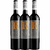 Kit Vinho Argentino - R Reserva - 4.2 Vivino - Bodega Goulart