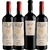 Kit Vinho Argentino - Best Malbec Super Malbec e Grand Vin ( 4.1 e 4.2 Vivino ) - Bodega Goulart