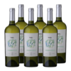 Tonel 14 Chardonnay 6x750ml