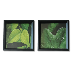 Quadros Folhas Plantas Verde Moldura Preta Sala Sacada - Bruna Store & Decor 