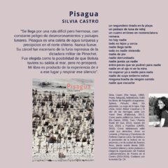 Pisagua, Silvia Castro - comprar online