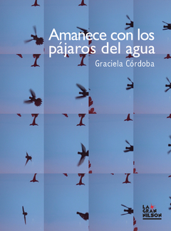 Amanece con los pájaros de agua, Graciela Córdoba