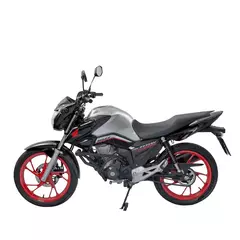 Imagem do PROTETOR STUNT BRAZ CG 160