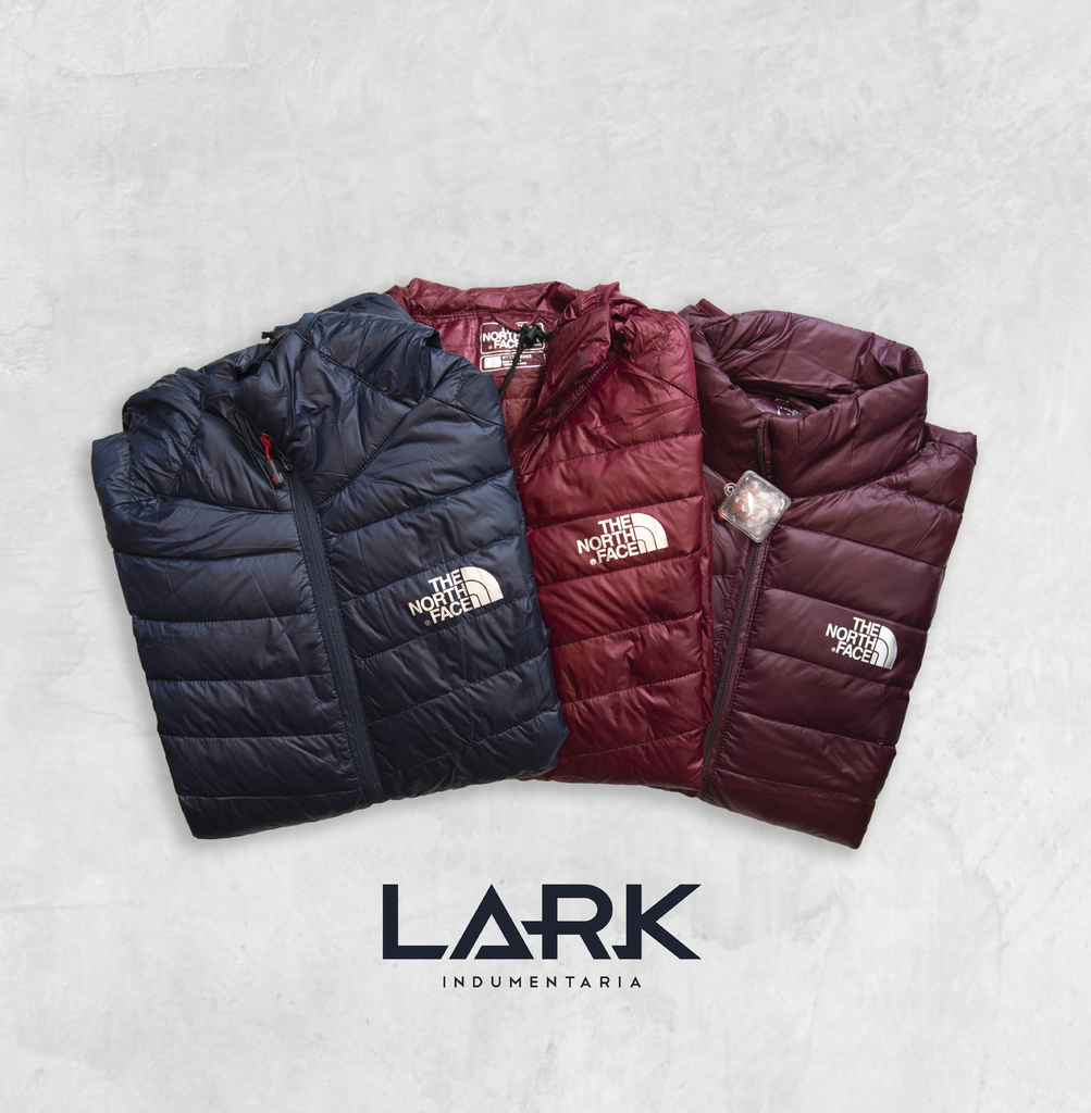 Camperas de Pluma The North Face - LARK INDUMENTARIA