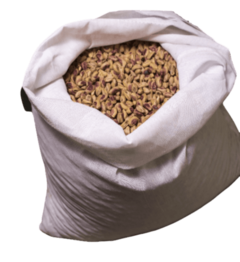 Pistache Iraniano Cru Sem Casca inteiro (5kg) - comprar online