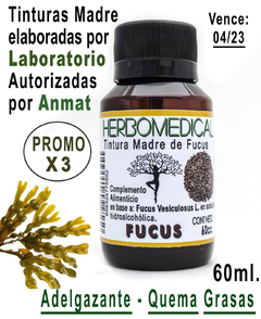 3 Tinturas Madre FUCUS (Fucus Vesiculosus) Adelgazante Quema Grasas - 60 ml. c/u