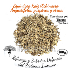 Raiz de Equinácea 100g.