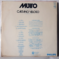 LP CAETANO VELOSO - MUITO DENTRO DA ESTRELA AZULADA E A OUTRA BANDA DA TERRA (1978) - comprar online