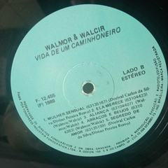 Lp Walmor e Walcir - A vida de um caminhoneiro na internet