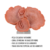 Escultura Coral Rosa em Resina na base em Vidro na internet