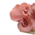 Escultura Coral Rosa em Resina na base em Vidro - Natuhome | Esculturas, Decoração, Peças Decorativas E Muito Mais