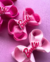 Kit 5 Laços Boutique Duplo Médio no bico de pato - M04 - Coleção Barbie - Edição Limitada! - comprar online