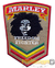 Patch Bordado Termocolante Bob Marley Freedom Fighter