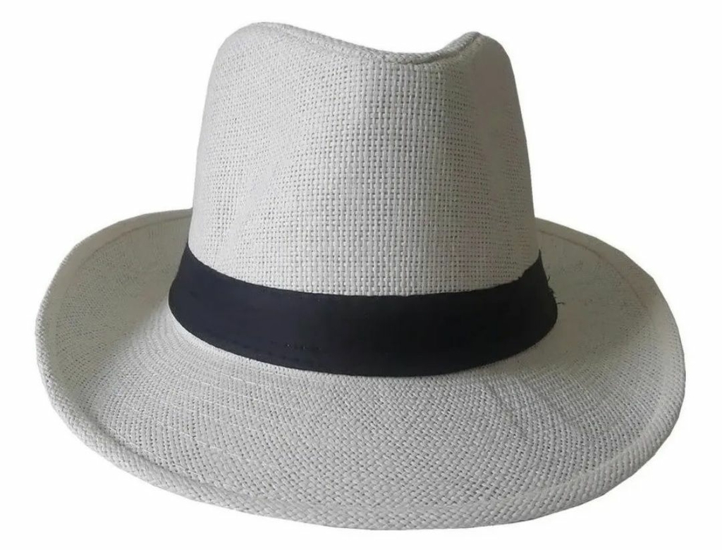 Chapéu Panamá