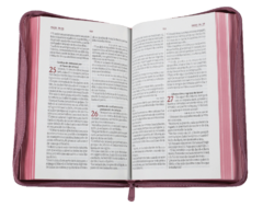 Biblia Reina Valera 1960 Mediana Letra Grande Imitación Piel Rosa Código QR [RVR065cZLGPJR] en internet