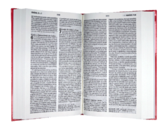 Biblia Reina Valera 1960 Mediana Letra Grande Tapa Dura Rosa [RVR063cPJR] - comprar en línea