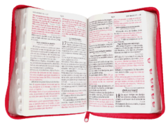 Biblia Reina Valera 1960 Mediana Letra Grande Imitación Piel Fiusha Rosa Pastel [RVR056CLGPJRTIZ] - comprar en línea