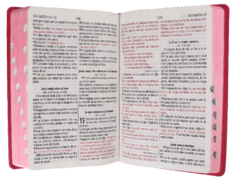 Biblia Reina Valera 1960 Mediana Letra Grande Imitación Piel Rosa [RVR066cLGPJRTIPU] en internet