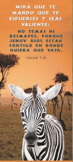 Imagen de PAQUETE DE 100 SEPARADORES BIBLICOS