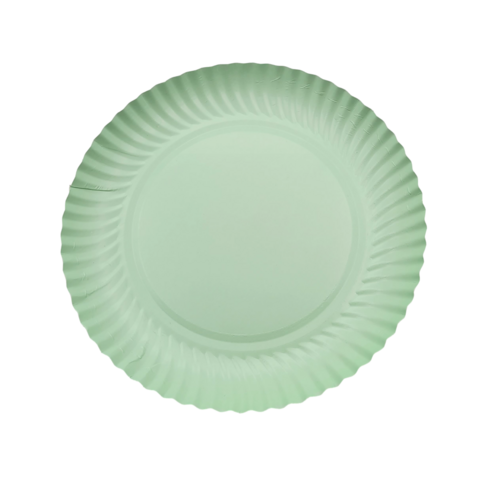 PLATO BANDEJA CANALETA VERDE PASTEL 24 CM