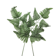 Plantas Decorativas X1 U - comprar online