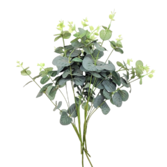Plantas Decorativas X1 U - comprar online